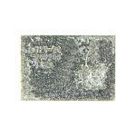 APPLE iPhone XS - Power Amplifier IC 170-21