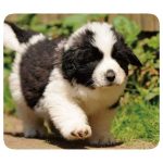 VIVANCO MOUSEPAD PETS 2 - Image 4